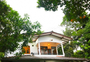 Green View Apartment